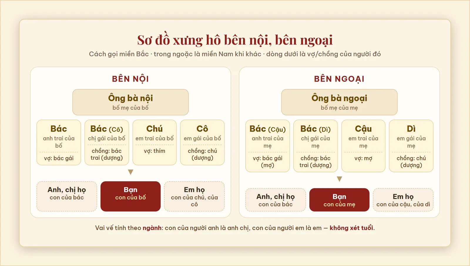 Sơ đồ xưng hô bên nội và bên ngoại: ông bà nội, ông bà ngoại, bác, chú, cô, cậu, dì cùng vợ chồng của họ (bác gái, thím, mợ, chú, dượng) và anh chị em họ